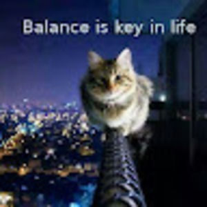 Meet your Posher, Said